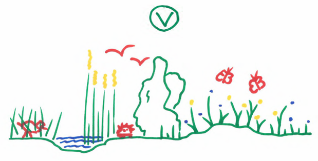 afbeelding binnen de regeling